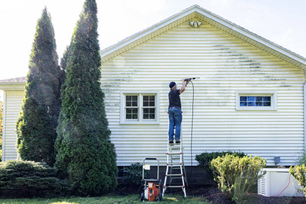 Animal Enclosure Cleaning in Madison Lake, MN